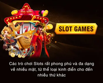 Giao diện ứng dụng Vando88 trực quan