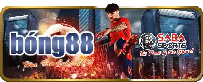 Công bằng và minh bạch Vando88