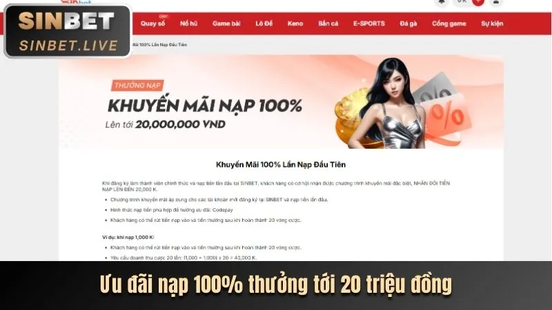 Tầm Nhìn Vando88